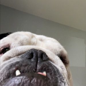 Meet your Posher, Alex